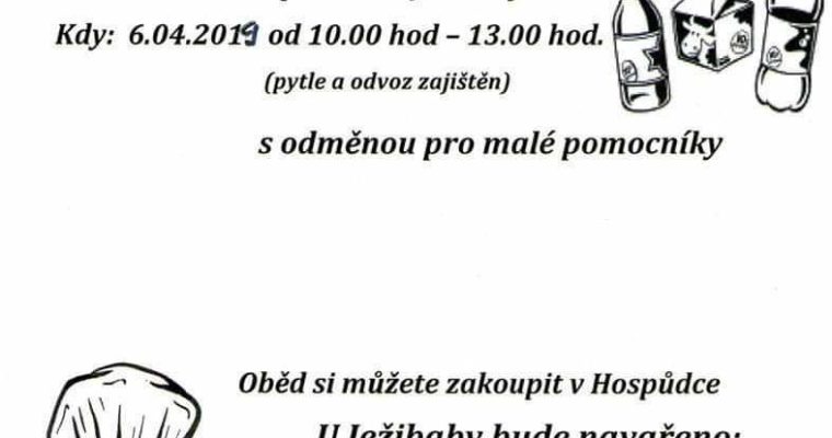 6.4.2019 – Úklid lesa