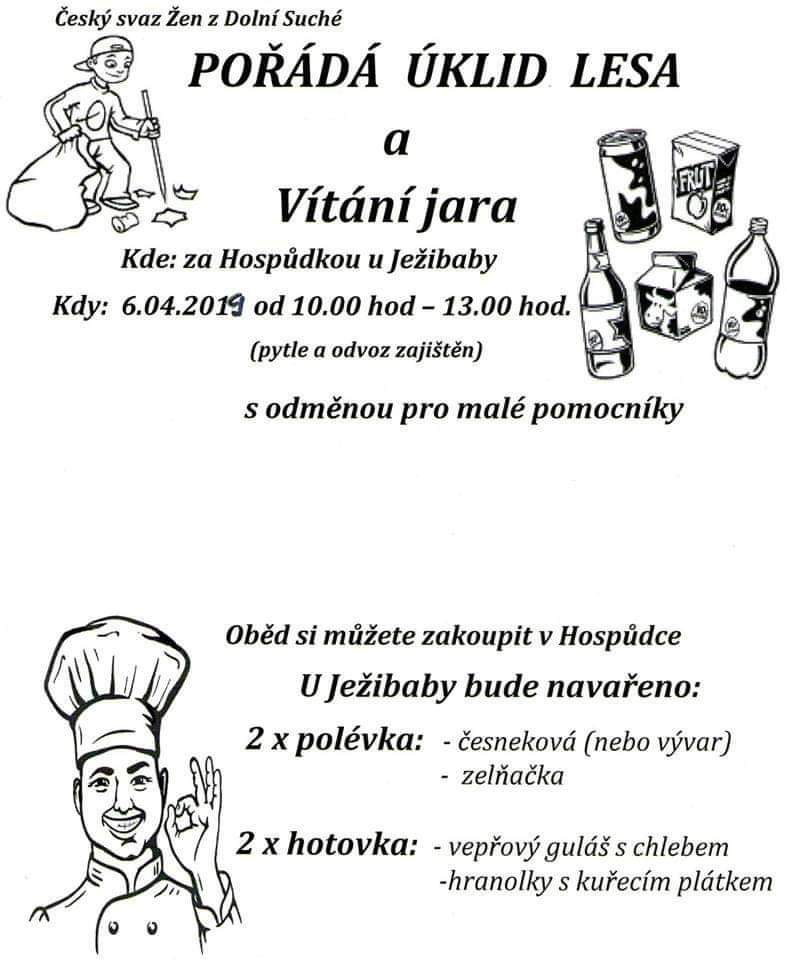 6.4.2019 – Úklid lesa