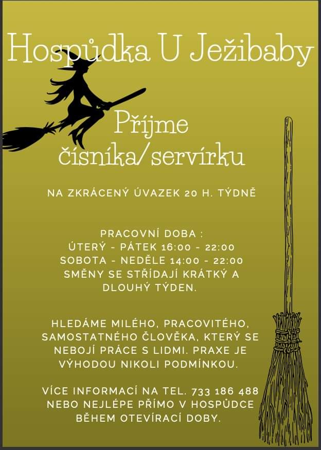 PŘIJMEME ČÍŠNÍKA/SERVÍRKU